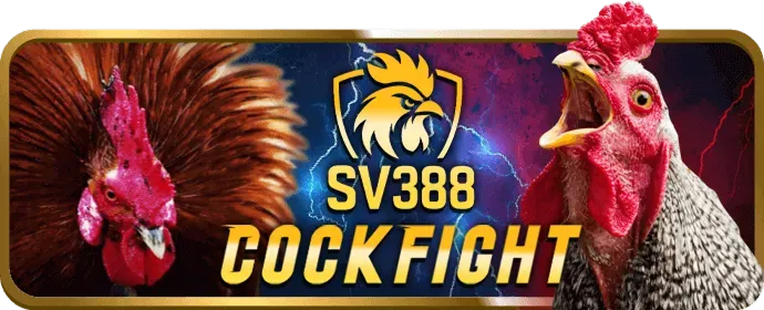 Cá cược Thể Thao bot88 casino