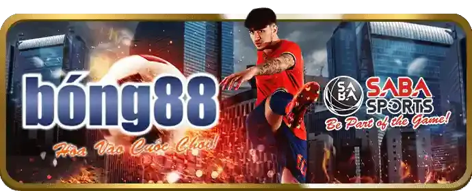 Thực hành cá cược an toàn